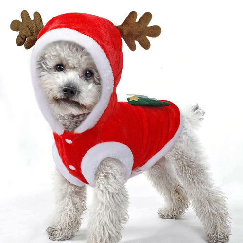 NATAL FASHION PET.